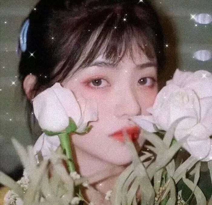 初代吸血鬼第五季